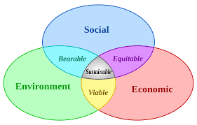 Social Value venn diagram
